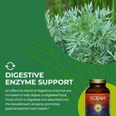 healthforce-superfoods-scram-herbal-supp-6.jpg