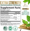 ashwagandha-supplements---2100mg-ashwaga-2.jpg