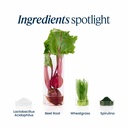 vibrant-health-green-vibrance-includes-6-6.jpg