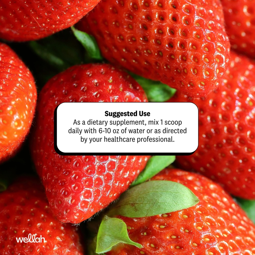 wellah-l-glutamine-strawberry-lemonade-f-6.jpg