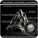 the-gold-shilajit-resin-shilajit-pure-hi-5.jpg
