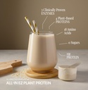 all-in-nutritionals-ez-plant-protein-veg-6.jpg