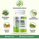900-mg-liposomal-artemisinin-for-maximum-6.jpg