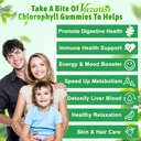 chlorophyll-gummies---super-green-13-in--5.jpg