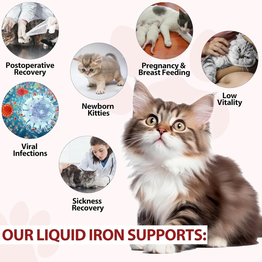 liquid-iron-for-cats-liquid-iron-drops-f-6.jpg