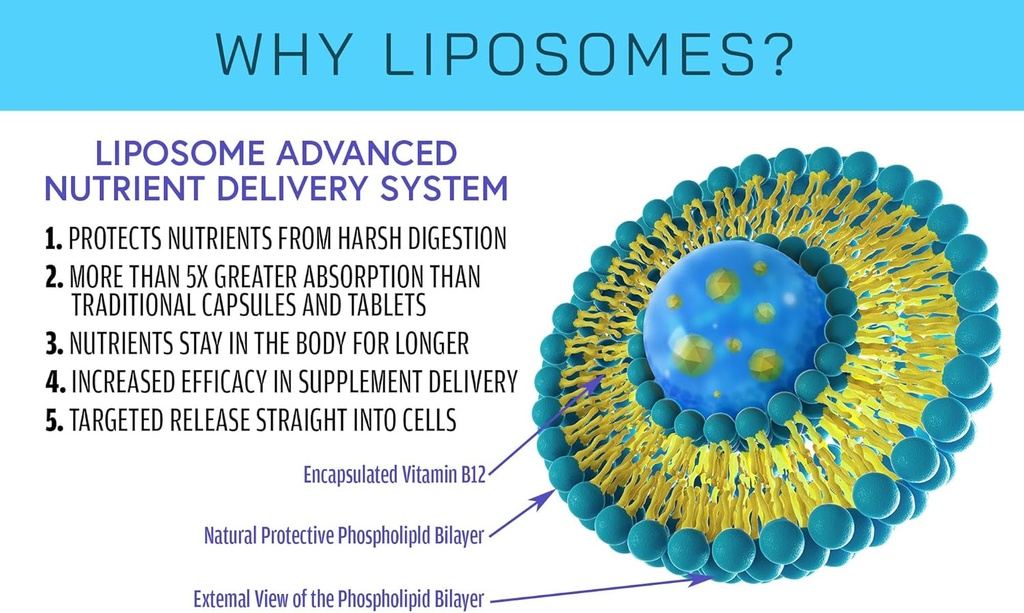 liposomal-glutathione-supplement---pure--3.jpg