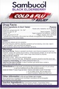 sambucol-cold-and-flu-relief-tablets---h-3.jpg