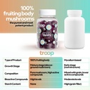 troop-reishi-mushroom-gummies-calming-gu-6.jpg