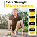 brain-supplements-for-memory-and-focus-1-3.jpg