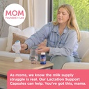 mommys-bliss-postnatal-lactation-support-4.jpg