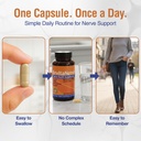 nerve-support-supplement-with-300mg-alph-3.jpg
