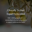naomi-bp-advanced-olive-leaf-extract-vit-5.jpg