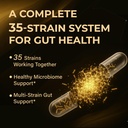 probiotics-with-prebiotics-for-men-and-w-3.jpg