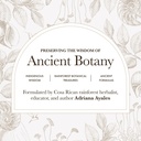 anima-mundi-apothecary-viridem-greens-de-5.jpg