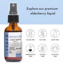 organic-elderberry-mist-sambucus-nigra-l-3.jpg