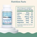 maine-coast-sea-vegetables-seaweed-suppo-2.jpg