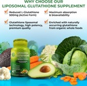daily-immune-antioxidant-energy-support--2.jpg