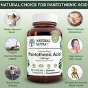 natural-nutra-time-release-pantothenic-a-3.jpg