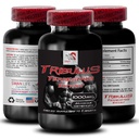 energy-performance-formula-tribulus-terr-2.jpg