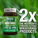 pines-international-wheat-grass-powder-3-5.jpg
