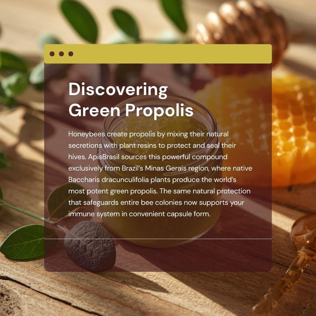 brazilian-green-bee-propolis-liquid-extr-4.jpg