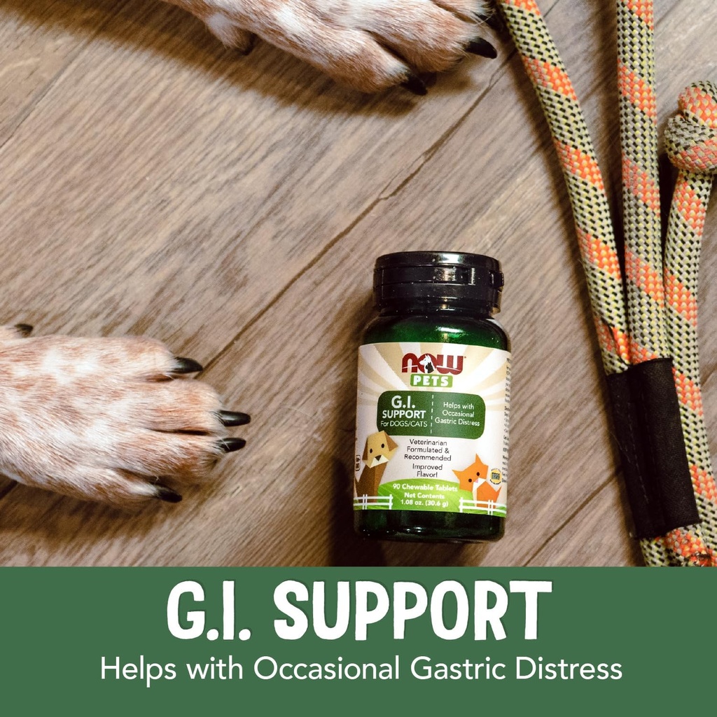 now-pet-health-gi-support-supplement-for-4.jpg