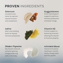infiniwell-thyroid-support---targeted-th-3.jpg