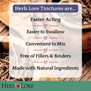 herb-lore-vitex-tincture-usda-organic-ch-4.jpg