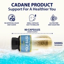 organic-cadane-holy-basil-supplements-ca-2.jpg