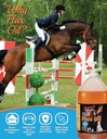 sammys-shiny-coat-flax-oil-for-horses-pu-2.jpg