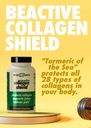 health-direct-beactive-collagen-shield-1-3.jpg