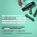 pet-honesty-dog-wellness-virtual-bundle--3.jpg