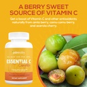 paleovalley-neuroeffect-essential-c-comp-4.jpg