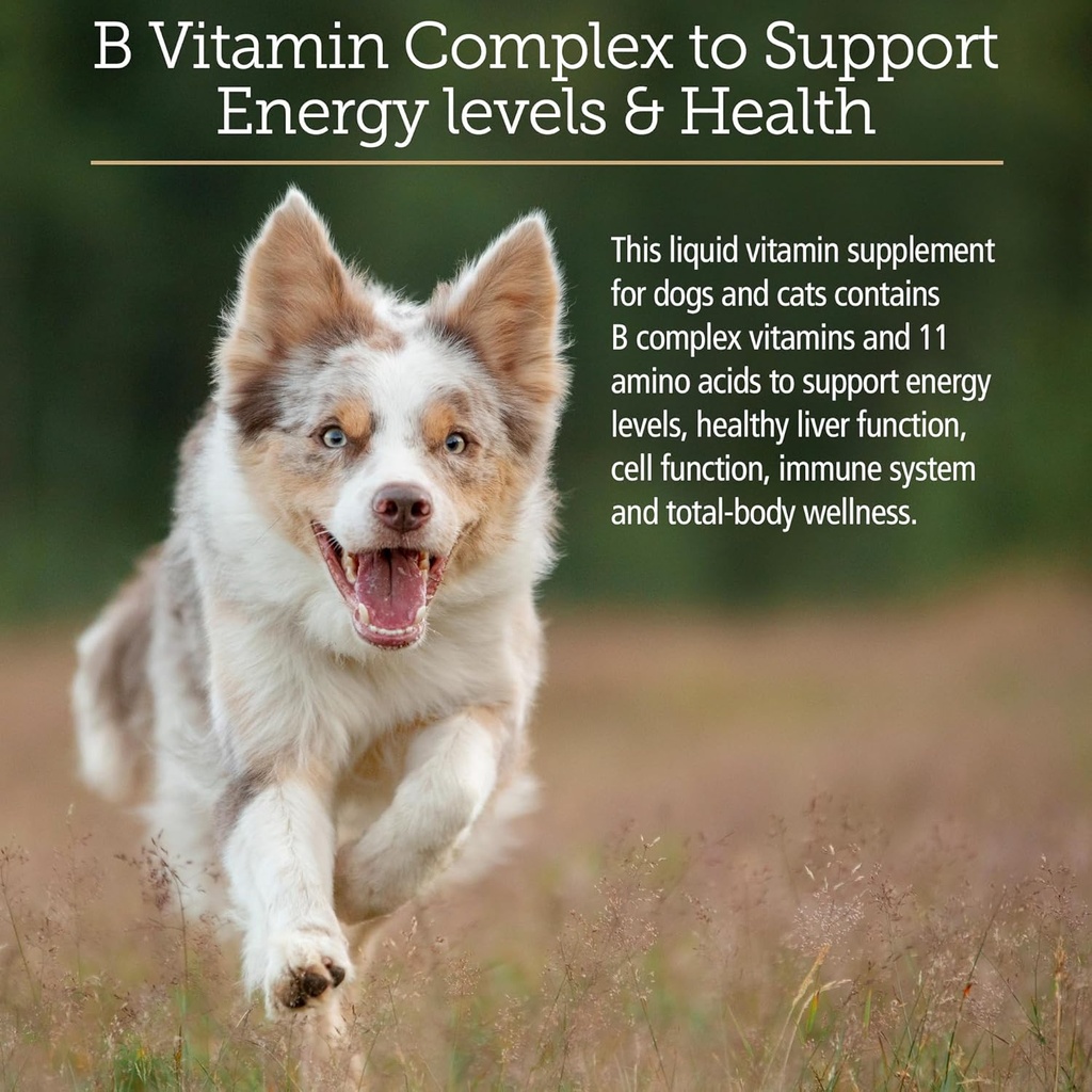 rx-vitamins-amino-b-plex-cat-dog-supplem-3.jpg