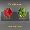 berberine-complex-garcinia-health-supple-4.jpg