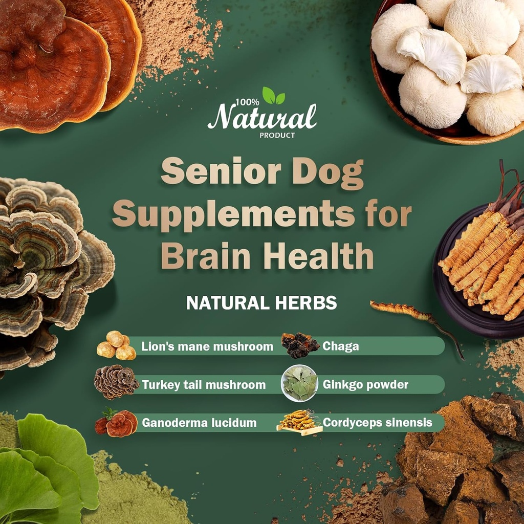 senior-dog-supplements-dog-dementia-supp-2.jpg