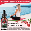 berberine-hcl-liquid-drops---1500-mg-hig-2.jpg