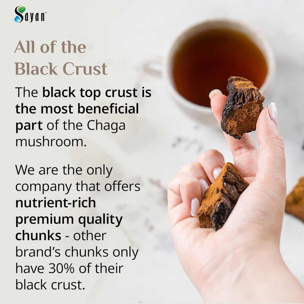 sayan-siberian-pure-raw-chaga-mushroom-c-2.jpg