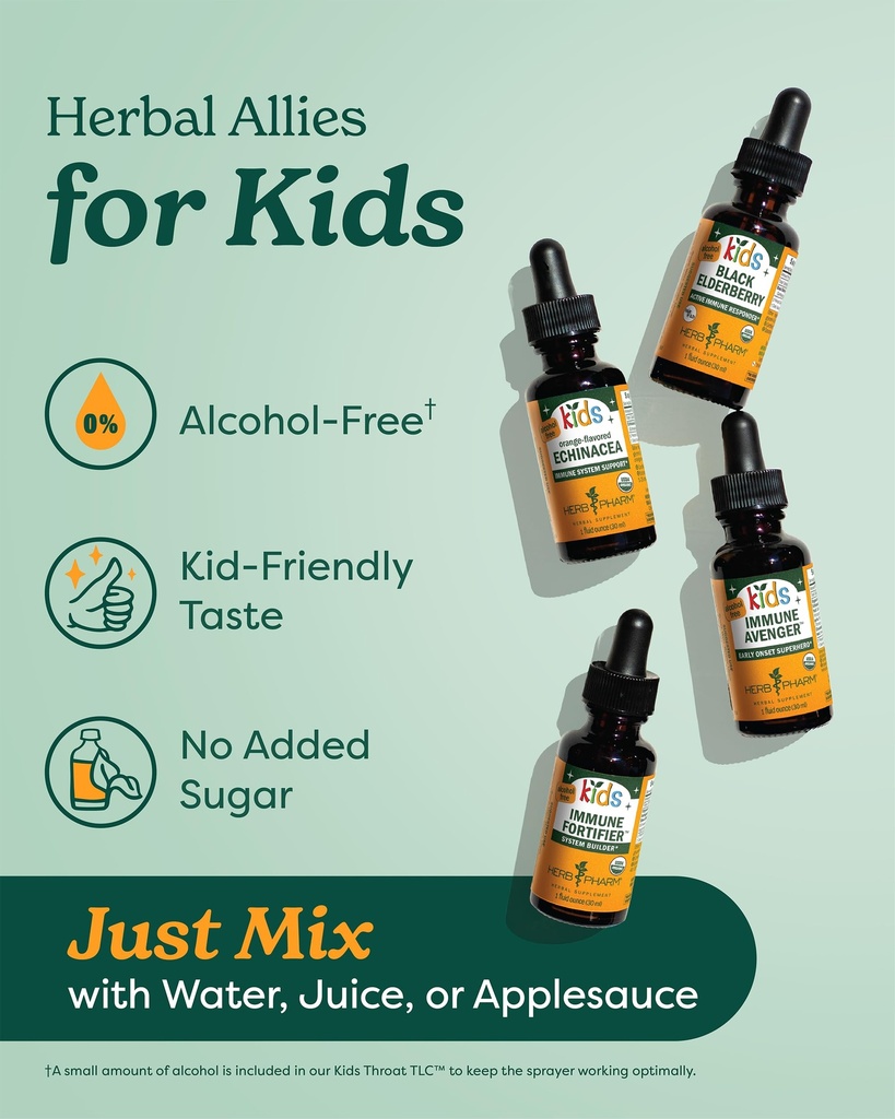 herb-pharm-organic-kids-herbal-hug-nervo-4.jpg