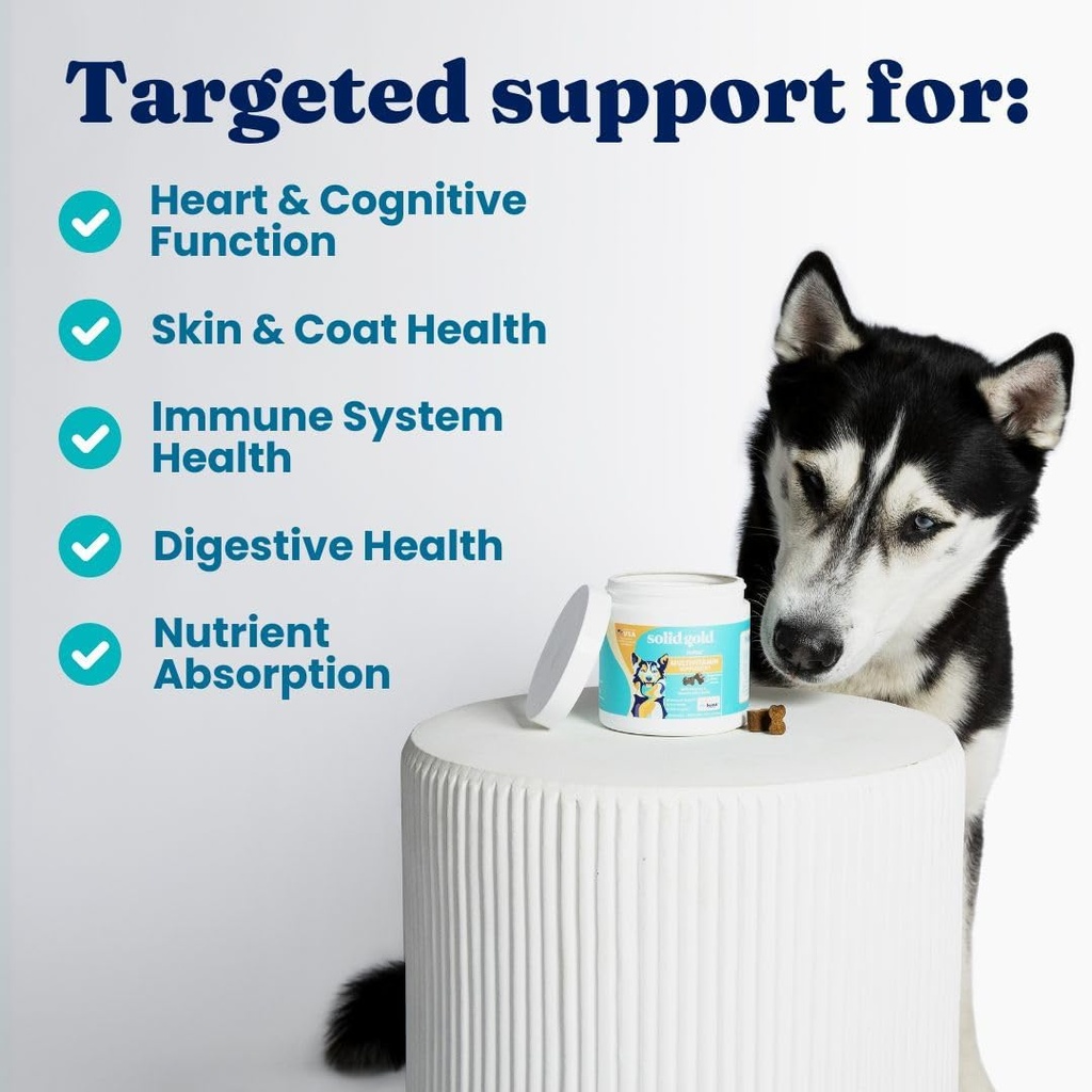solid-gold-dog-multivitamin---soft-dog-v-3.jpg