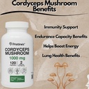 pristines-cordyceps-mushroom-capsules----3.jpg