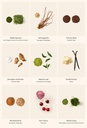 promix-nutrition-raw-greens-superfood-bl-6.jpg