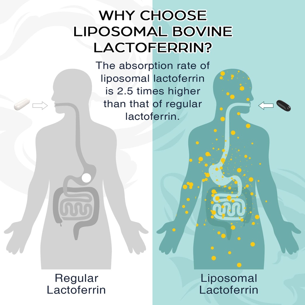 liposomal-bovine-lactoferrin-1000-mg-hig-2.jpg
