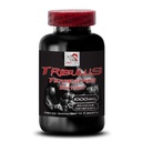 active-energy-formula-tribulus-terrestri-2.jpg