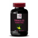 pure-energy-support-tribulus-terrestris--2.jpg