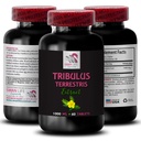 pure-energy-surge-tribulus-terrestris-ex-2.jpg