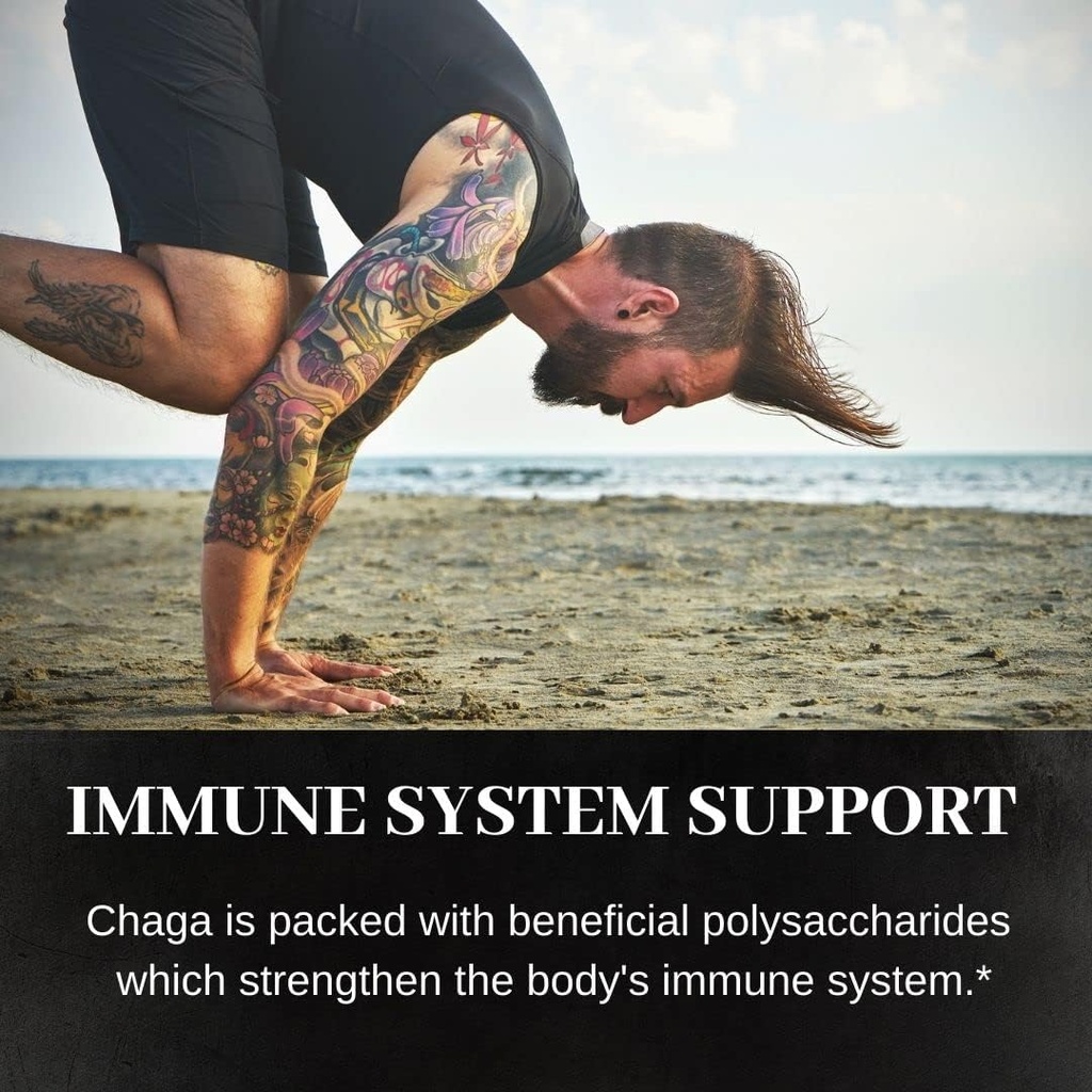 noomadic-chaga-mushroom-60-capsules-500m-5.jpg