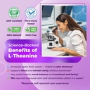 sotalix-l-theanine-supplement-with-ashwa-5.jpg