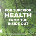 hyland-s-indoor-and-outdoor-non-drowsy-s-3.jpg