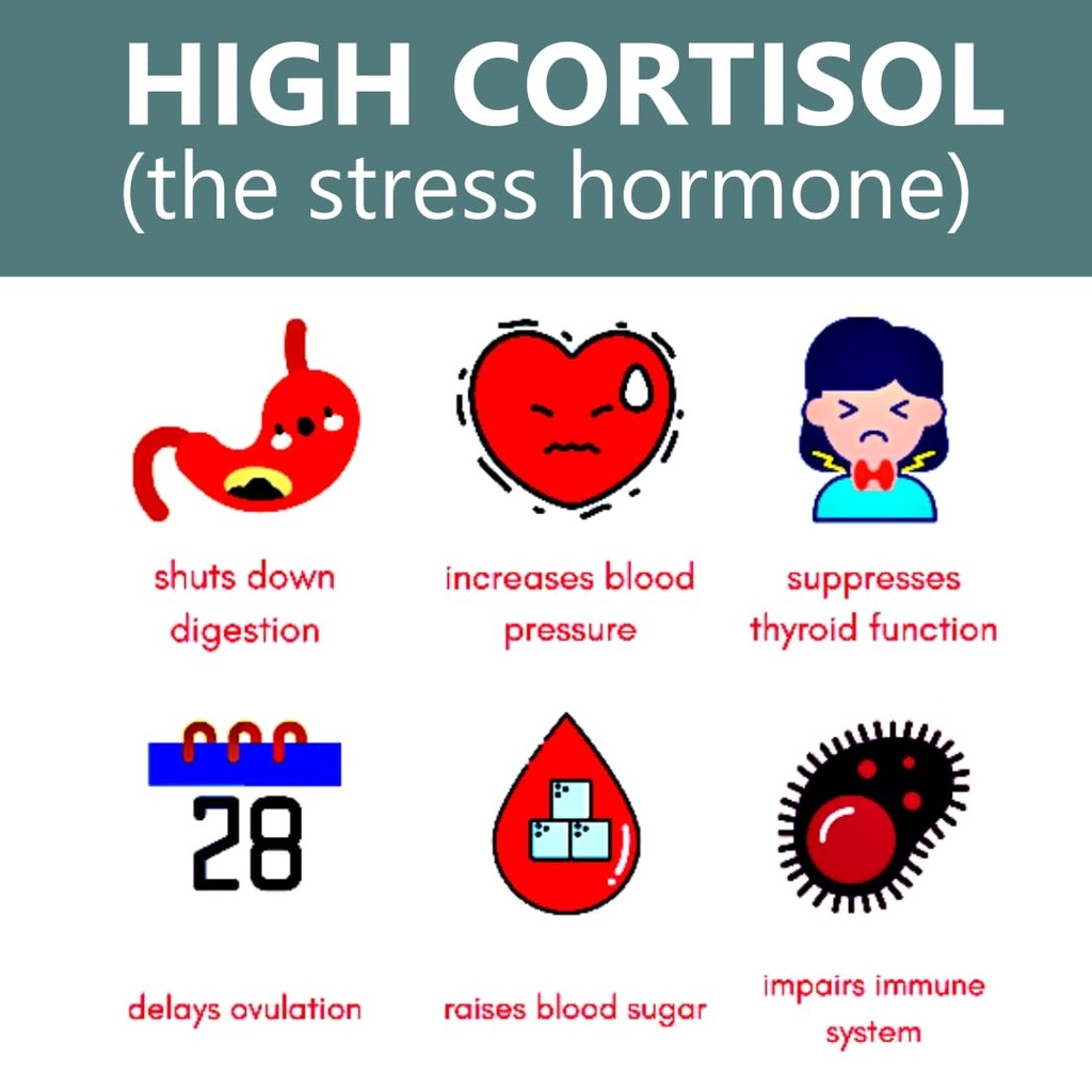 lower-cortisol-for-women-cortisol-blocke-5.jpg